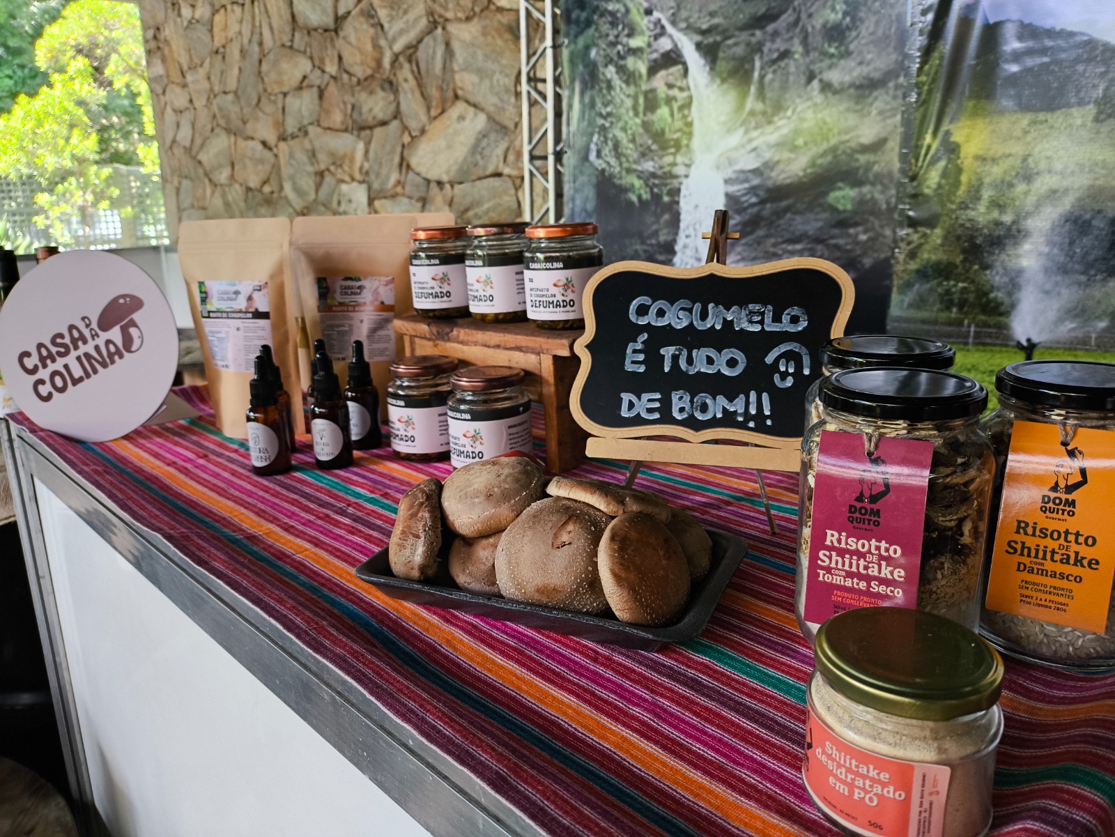 Fotos: Lucas Marques