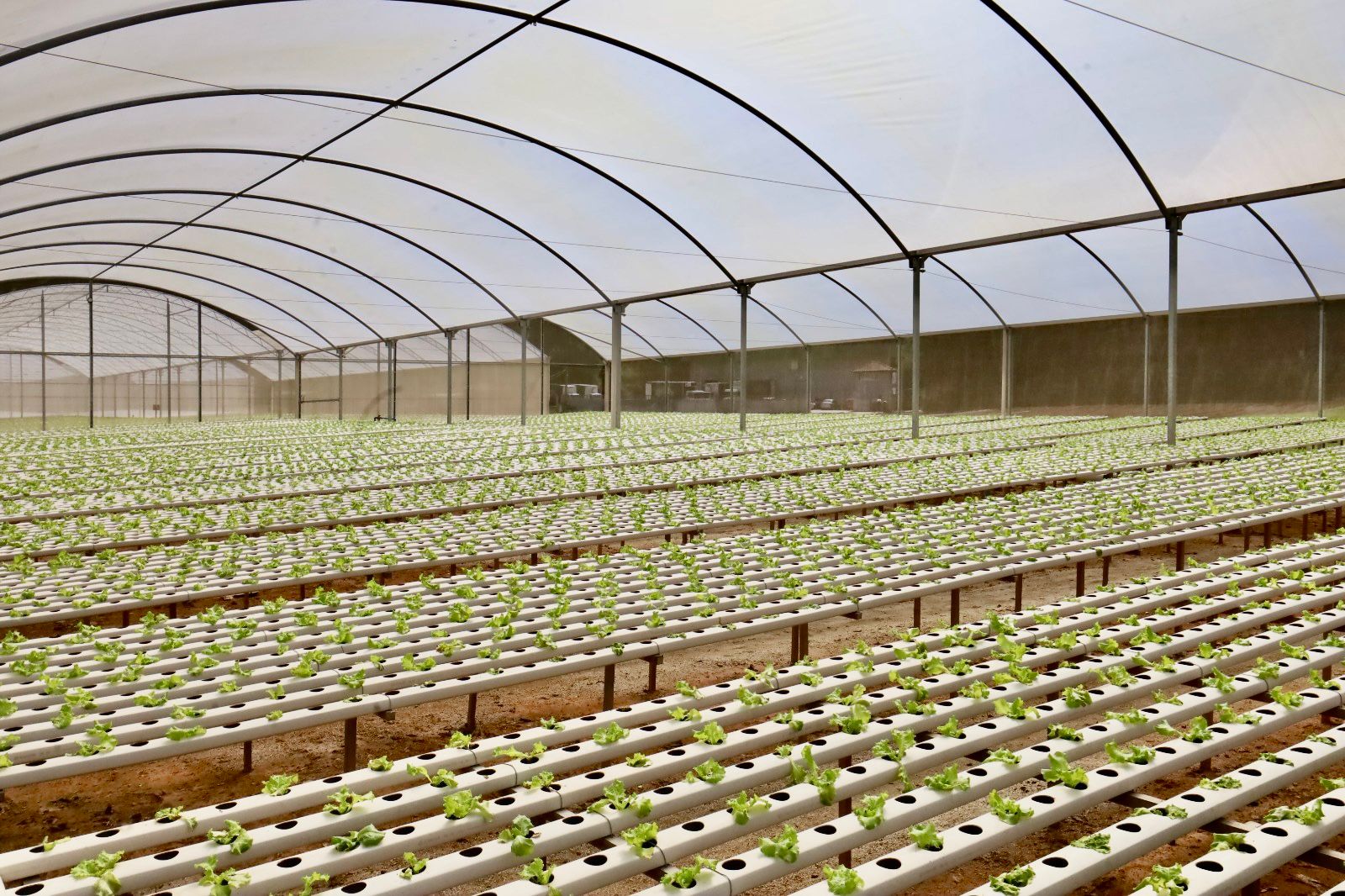 Fotos: Lucas Marques