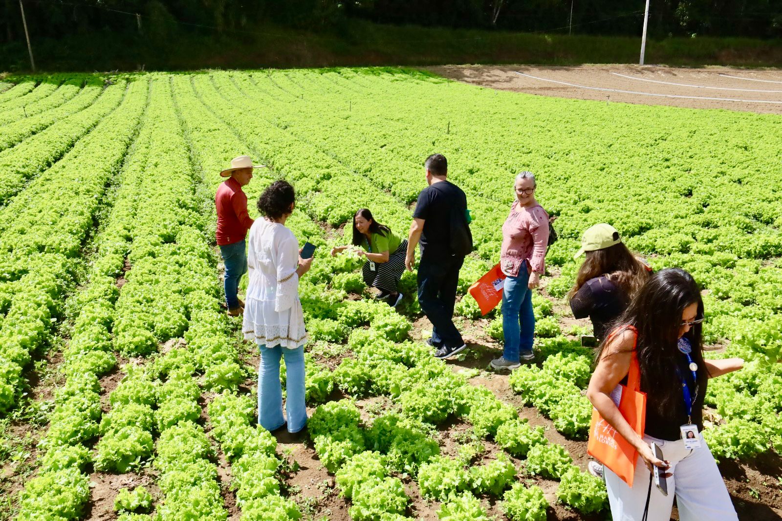 Fotos: Lucas Marques