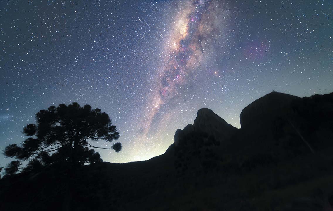 Festival das Estrelas