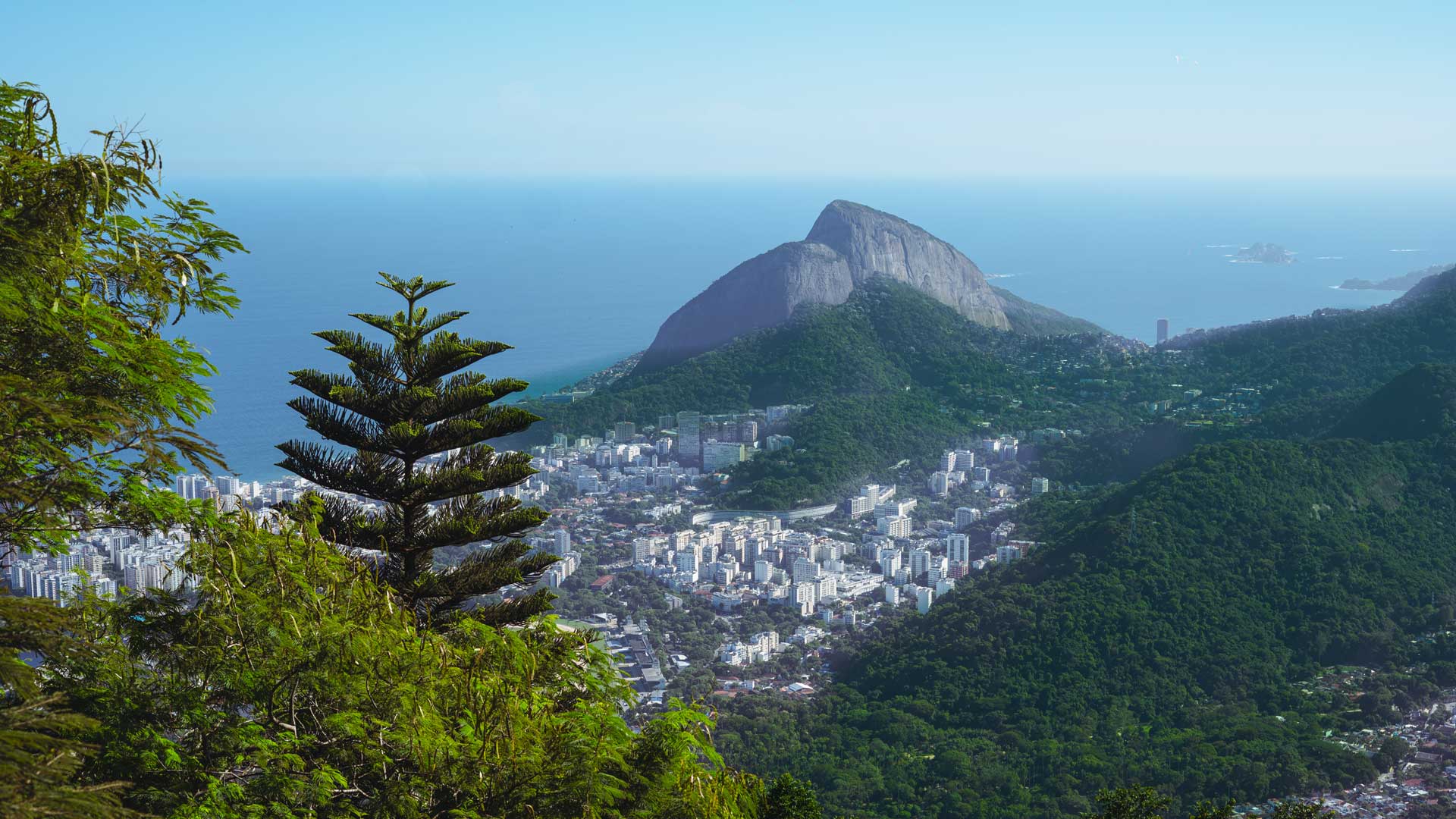 Parque da Tijuca