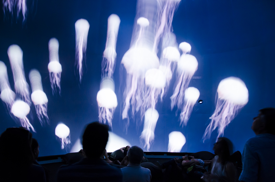 Oceano - O Mundo &eacute; um Arquip&eacute;lago