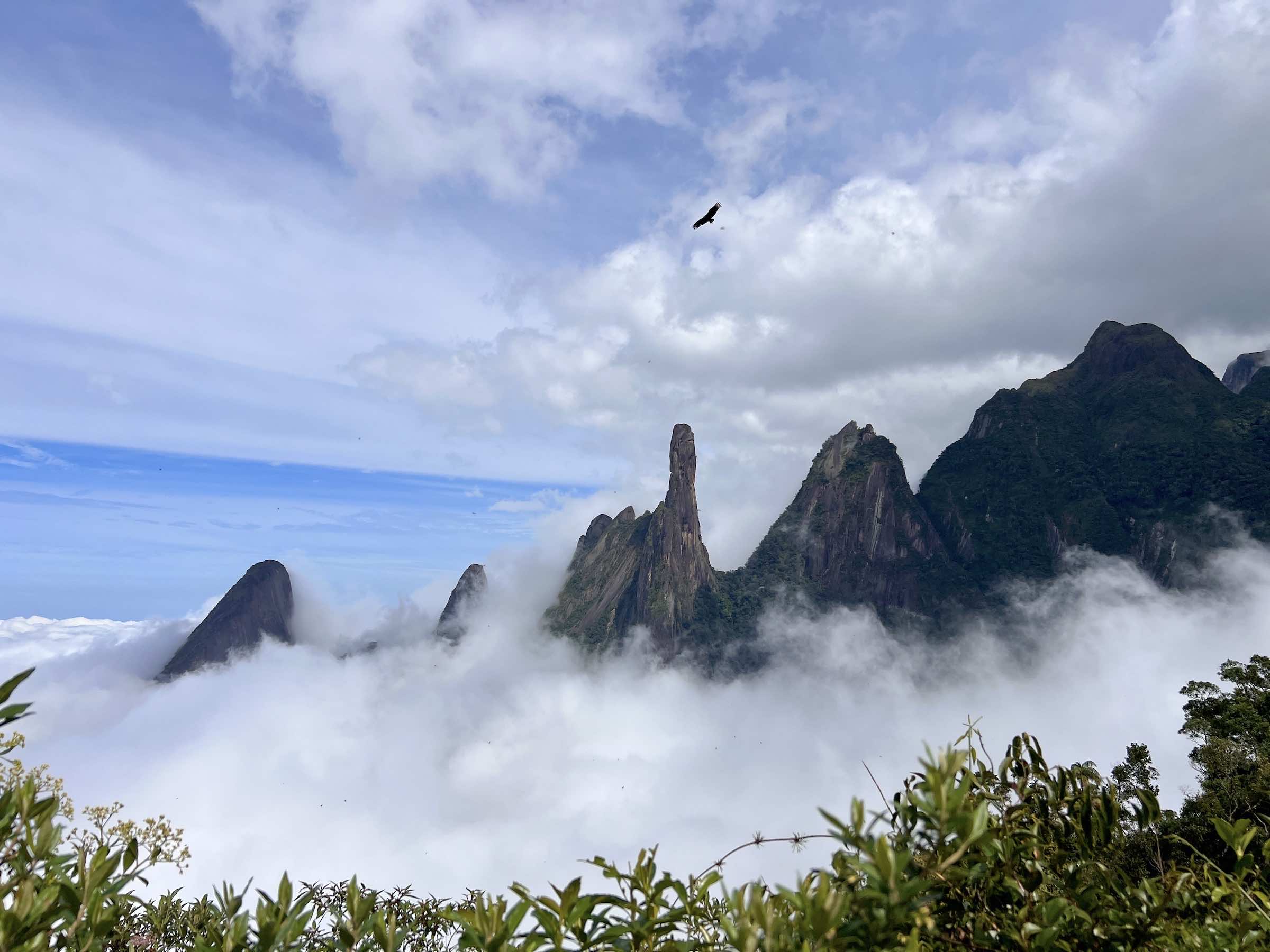 foto:reprodu&ccedil;&atilde;o
